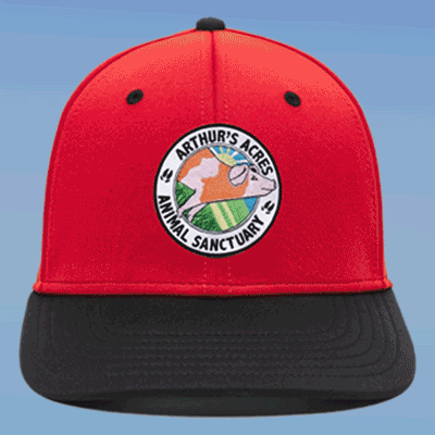 custom hats